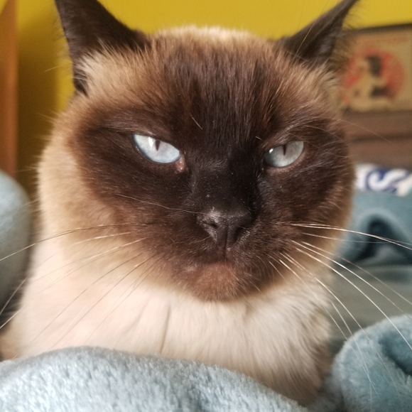 Meet your Posher, Faith - Picture 4 of 4